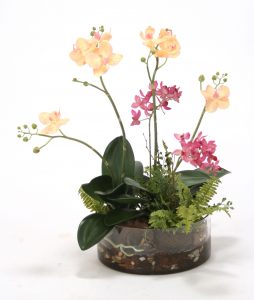 Fuschia Orchid Garden in Waterlook® with Orchid Bark and Rocks (SKU 15022)