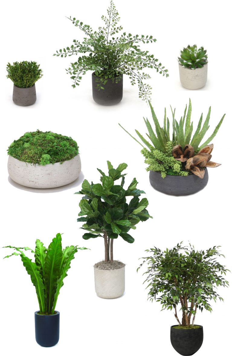 What is Fiberstone? Distinctive Designs Blog