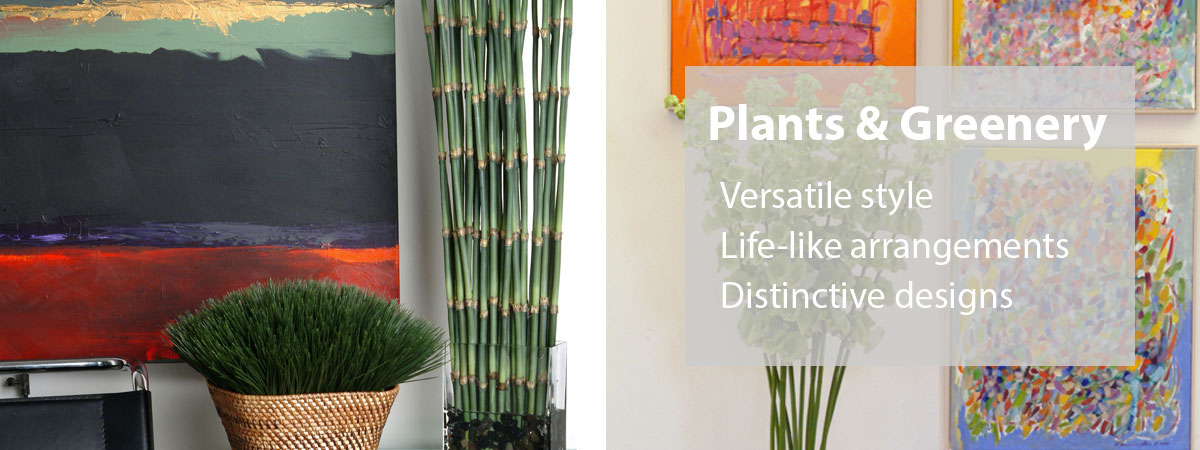 Plants and Greenery Plants and Greenery