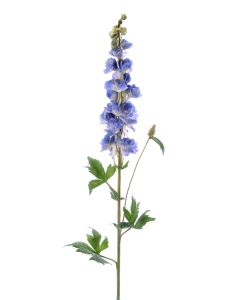 38" Delphinium Flower