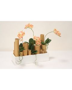 Orchid Garden in Bamboo in White Long Planter