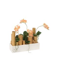Orchid Garden in Bamboo in White Long Planter