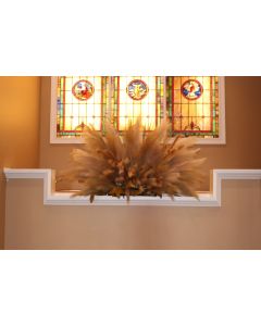 Pampas Plumes in Mixed Neutral Tones 