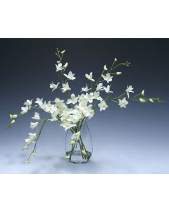 Waterlook® White Dendrobium Orchid in Angled Glass Vase