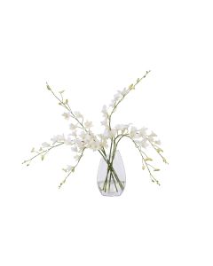 Waterlook&reg; White Dendrobium Orchid in Angled Glass Vase