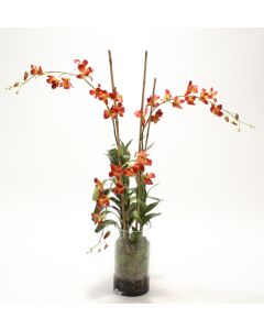 Waterlook® Rust Dendrobium Orchid Plant with Moss in Glass Cylinder