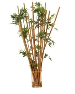Bamboo in Rectangular Glass