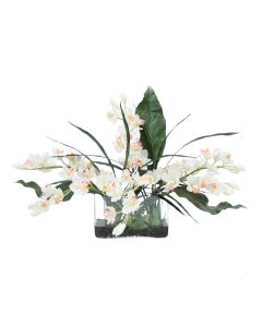 White Cymbidium Orchids with Leaves in Clear Vase