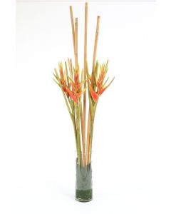 Orange Heliconia and Rattan in Rectangular Glass