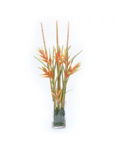 Orange Heliconia and Rattan in Rectangular Glass