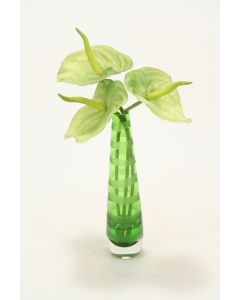 Waterlook® Green Anthuriums in Green-Striped Vase