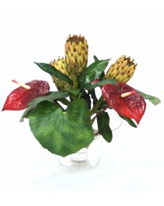 Waterlook® Red Antheriums, Proteas and Fan Palms in Glass Compote