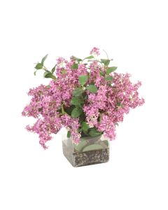 Violet Lilacs in Square Glass Vase