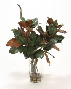Waterlook® Magnolia Foliage and Branches in Glass Cylinder