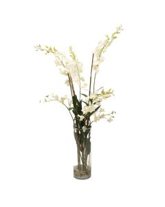 Waterlook® Cream White Dendrobium Orchids with Grass and Bamboo in Glass Cylinder