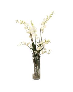 Waterlook® Cream White Dendrobium Orchids with Grass and Bamboo in Glass Cylinder