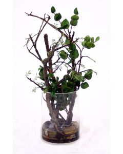 Waterlook&reg Bonsai and Dragon-Wood in Glass Cylinder