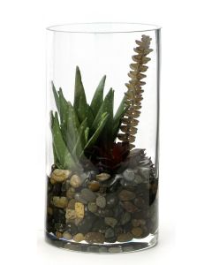 Succulent Garden Terrarium in Glass