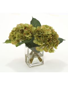 Waterlook® Green Hydrangea Nosegay in Rectangular Glass Vase