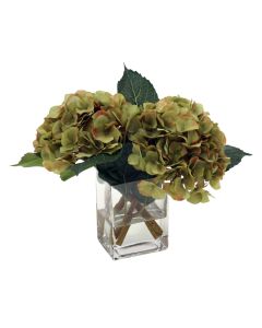 Waterlook® Green Hydrangea Nosegay in Rectangular Glass Vase
