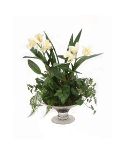 Waterlook® Cattleya Orchid Garden in Round Glass Compote