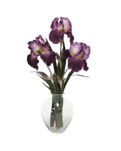 Waterlook® Amethyst Bearded Iris with Blades in Victoria Glass Vase