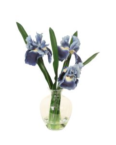 Blue Iris with Blades in Victora Vase