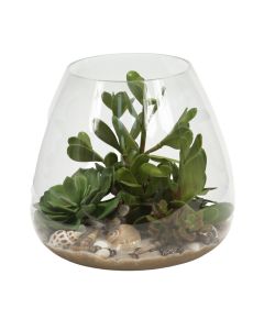 Waterlook® Succulents With Sand And Shells In Glass Bowl
