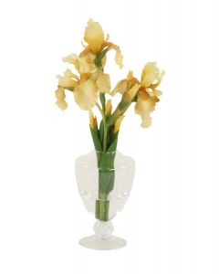 Waterlook® Light Yellow Bearded Iris in Footed Glass Vase