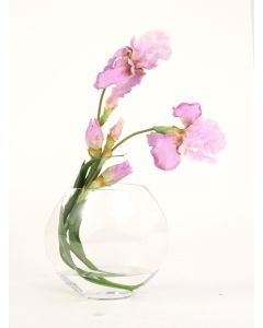 Waterlook® Lavender Iris in Glass Disc