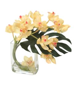 Waterlook® Champagne-Burgundy Cymbidium Orchids with Split Philo Leaf in Curved Rectangular Glass Vase