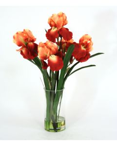 Waterlook® Rust Gold Iris with Blades in Glass Cylinder