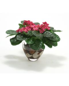 Fushia Violets in Small Clear Vase (PK 2)