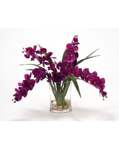 Waterlook® Violet Phaleanopsis Orchids with Foliage in Narrow Glass Vase