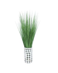 Waterlook&Reg; Variegated Light Green Grass in Glass Cylinder With Seashell Jacket