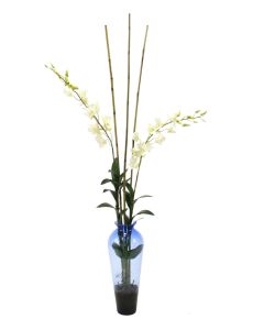 Waterlook® White Dendrobium Orchid with Bamboo in Blue Victorian Glass Vase