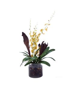 Waterlook® Gold-Green Oncidium Orchid Garden Mix in Clear Cylinder Glass Vase