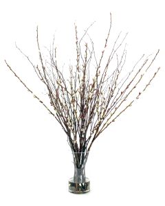 Waterlook® Birch, Pussy Willow Branches in Glass Cylinder