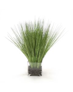 Waterlook® Green Grass in Square Glass Cube