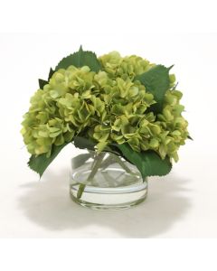 Waterlook® Green Hydrangeas, Laurel Leaves in Glass Cylinder