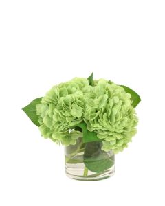 Green Hydrangeas in Glass Cylinder