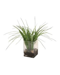 Grass in Tall Rectangle Glass