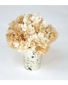 Waterlook® Ivory Hydrangeas in Mercury Glass Vase