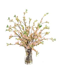 Waterlook® Pink Pear Blossoms in Glass Cylinder