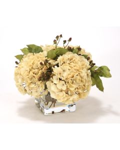 Waterlook® Beige Hydrangeas, Brown Hypercum Berries in Square Glass Vase