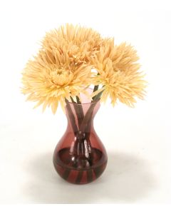 Waterlook® Beige Spider Gerbera Daisies in Plum Glass Vase (Sold in Multiples of 2)