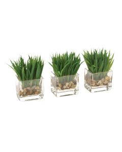 Waterlook® Grass in Glass Square Cube (Set 3)