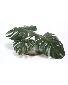 Waterlook® Philo Leaves with Rocks in Low Glass Bowl