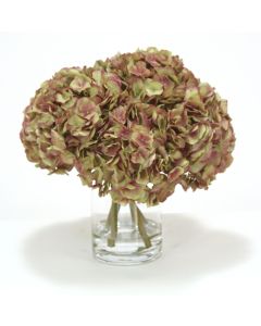 Waterlook® Green-Amethyst Hydrangeas in Glass Cylinder