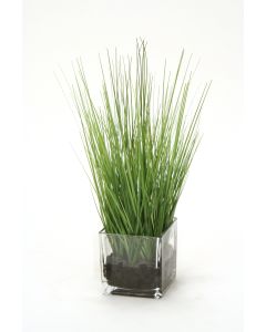 Waterlook® Two Tone Green Grass in Square Glass Cube